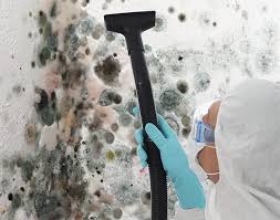 Professional Mold Inspection in Chester, IL